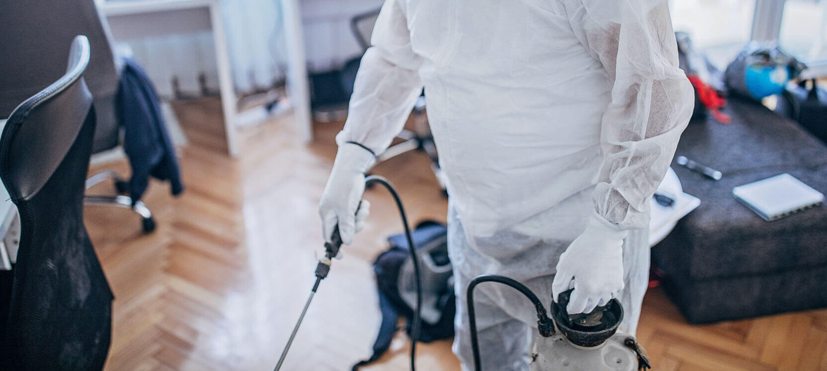 مكافحة الحشرات والقوارض